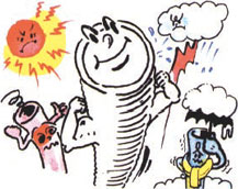 �ǍD�ȑϕ��H���A�ό�