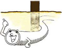 �D�ꂽ�Ƃ���