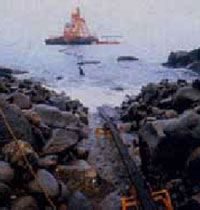 �g�����`���z�ݏ󋵂̎ʐ^