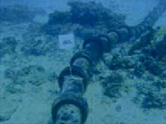 ��ǎ��t���󋵂̎ʐ^