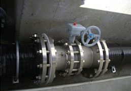 �����H���������a�@������l�g���l�����򕔂̎ʐ^