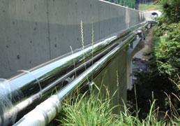 �ߋE�n�������Ǔa�@���싴�@�����Y�ˊǂ̎ʐ^