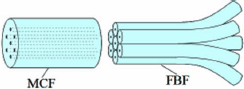 MCF��FBF