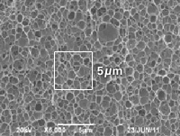 Cross section larger image