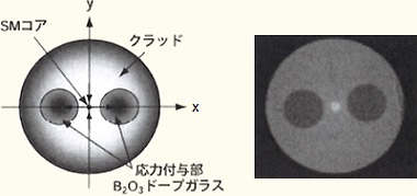 図1 偏波保持ファイバ（PANDAファイバー）の断面構造